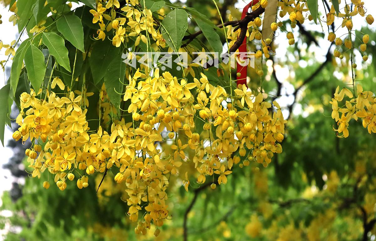 ১২ মে ২০২৬